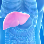 How FibroScan Helps Detect Fatty Liver Disease Early
